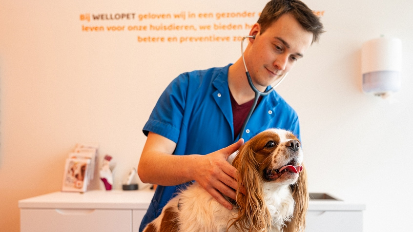 Toegang tot extra medische diensten aan voordeelprijzen